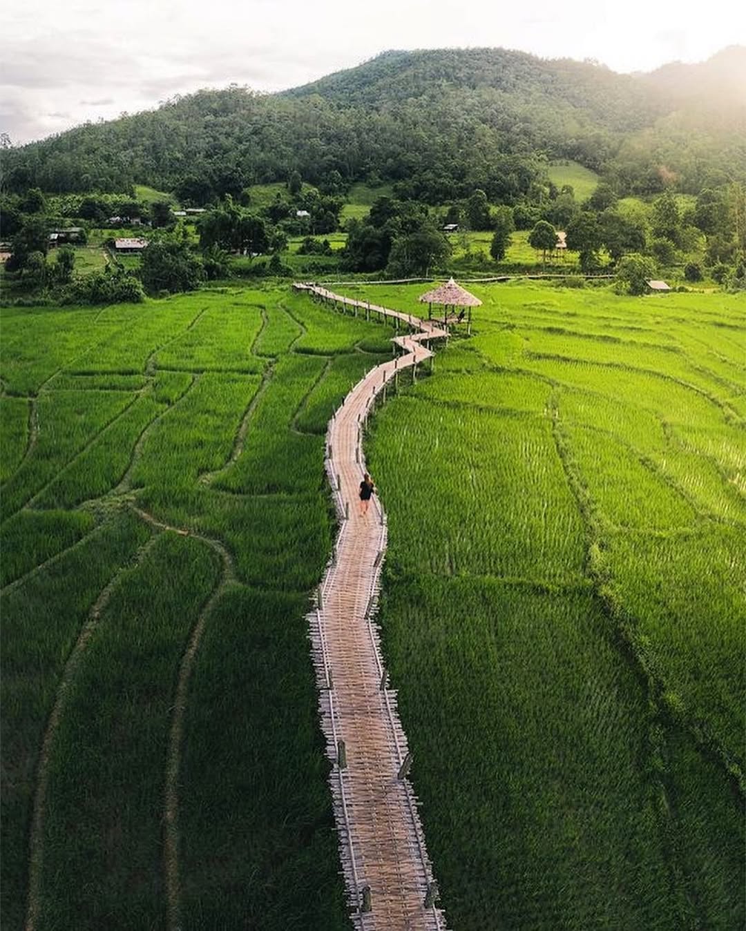 Natural Beauty in Pai